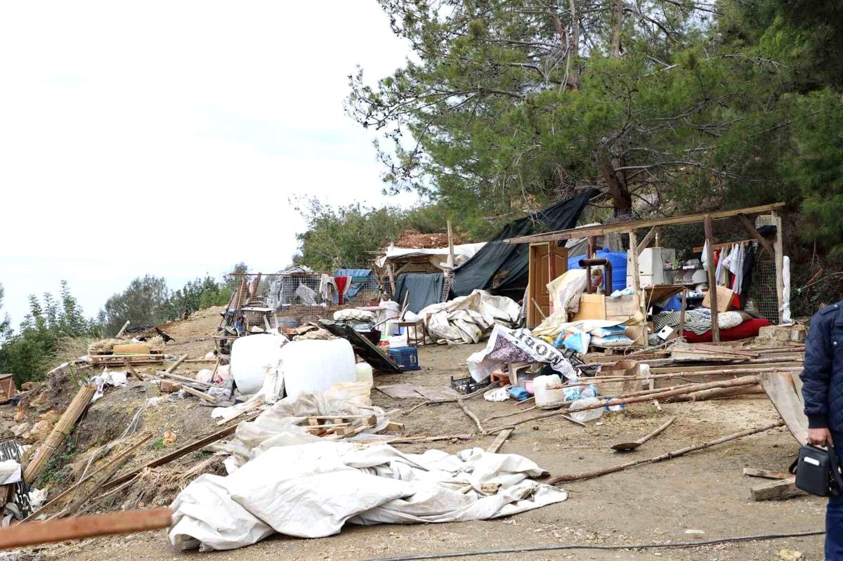 Alanya'da hazine toprağını işgal eden baraka boşaltıldı