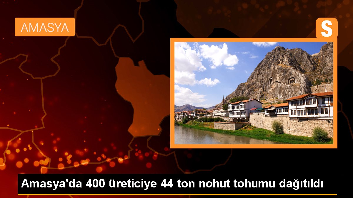 Amasya'da 400 üreticiye 44 ton nohut tohumu dağıtıldı