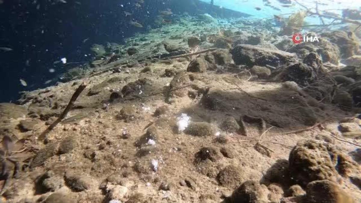 Antalya'nın göbeğinde 35 metre derinlikteki obrukta çok sayıda tatlı su canlısı tespit edildi