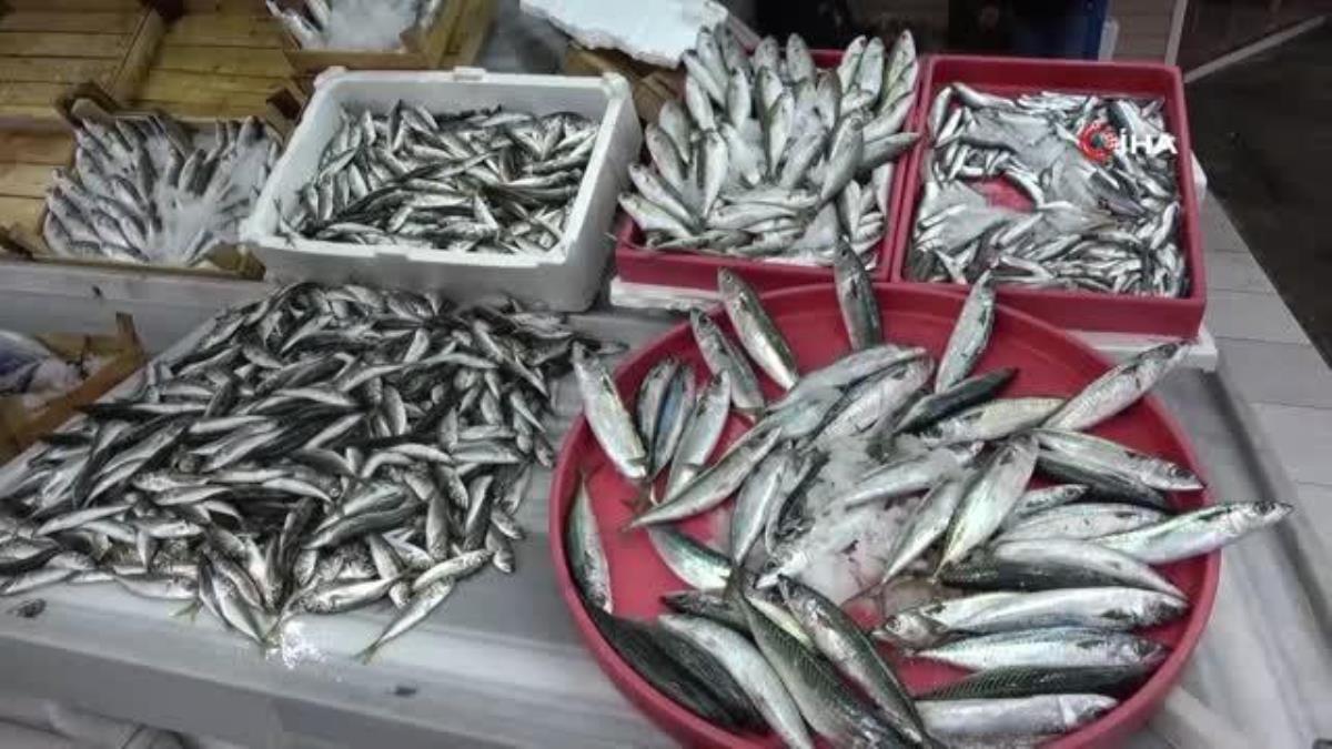 Balık fiyatlarına ramazan ayarı