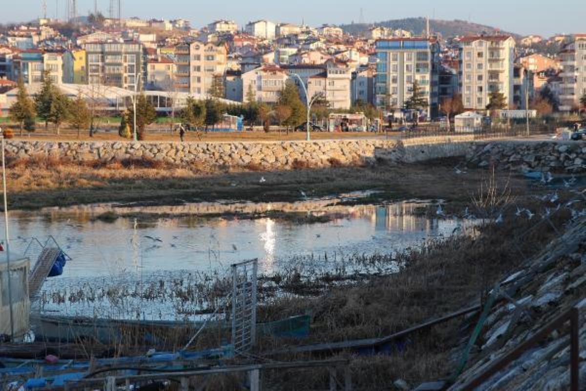 Beyşehir Gölü'nde kuraklığın akabinde 'otlanma' tehlikesi