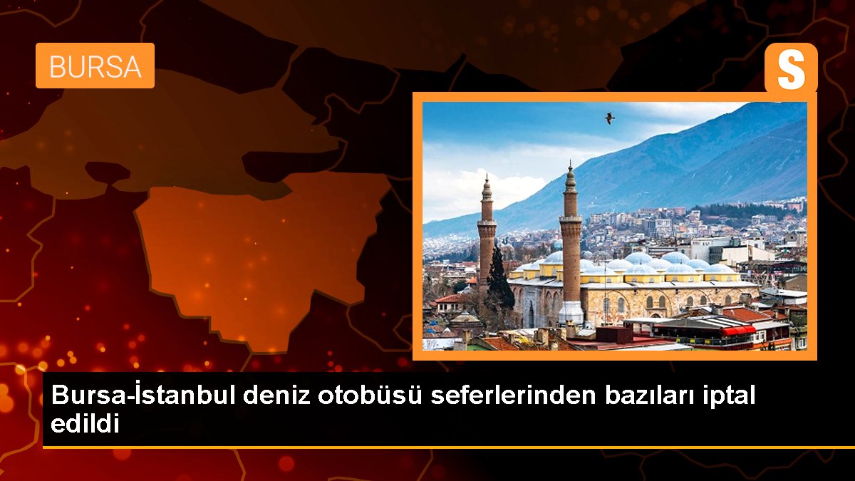 Bursa-İstanbul deniz otobüsü seferlerinden kimileri iptal edildi