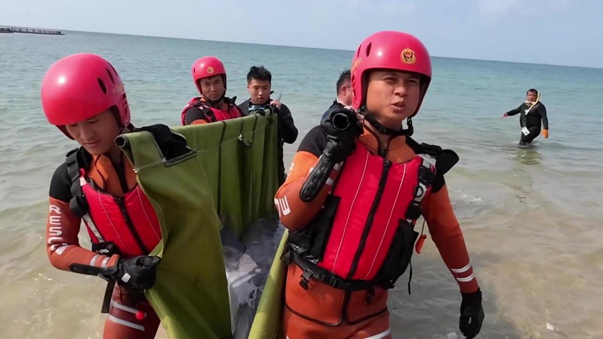 Çin'de Kıyıya Vuran Yunus Tedavi Edilip Denize Bırakıldı