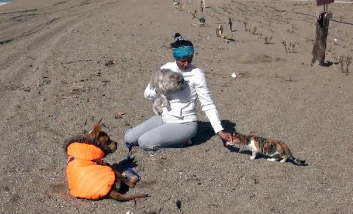 Depremzede kedi 'Anka'nın yazgı arkadaşı, afetzede köpek 'Deka'