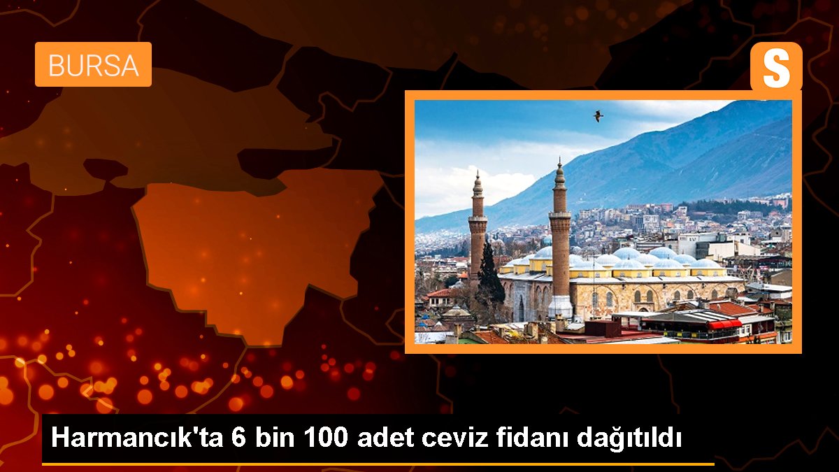 Harmancık'ta 6 bin 100 adet ceviz fidanı dağıtıldı