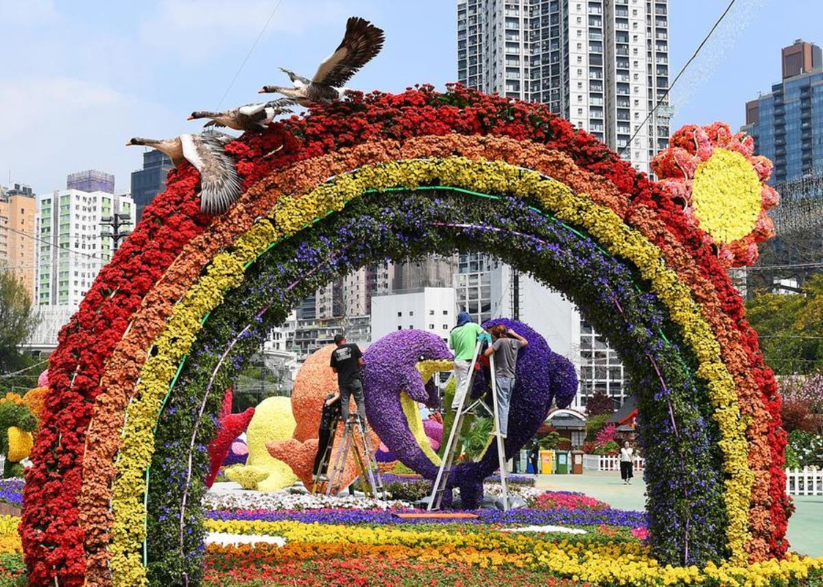 Hong Kong, Çiçek Şenliği'ne Hazırlanıyor
