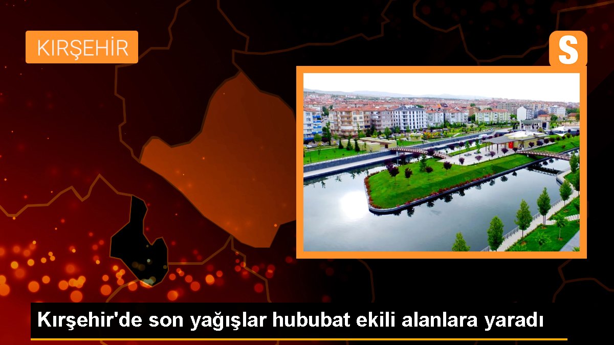 Kırşehir'de son yağışlar hububat ekili alanlara yaradı