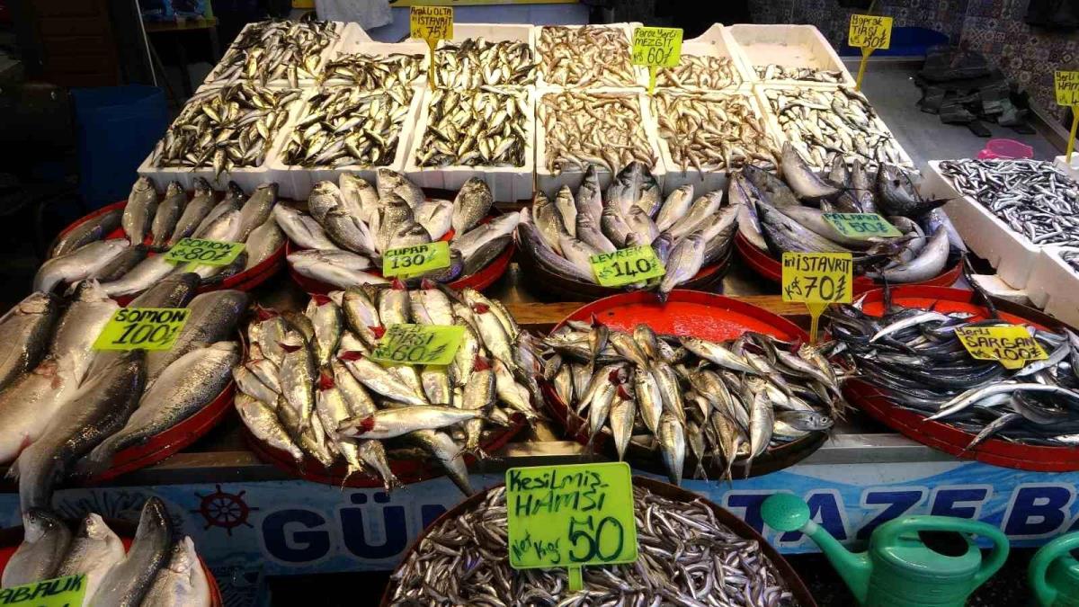 Prof. Dr. Cemal Dinçer: "Karadeniz'in değerli pelajik balıkları azalıyor"