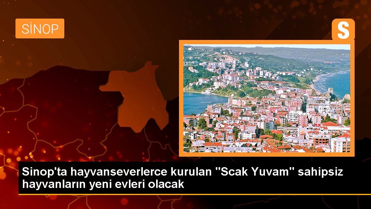 Sinop'ta hayvanseverlerce kurulan "Scak Yuvam" sahipsiz hayvanların yeni konutları olacak