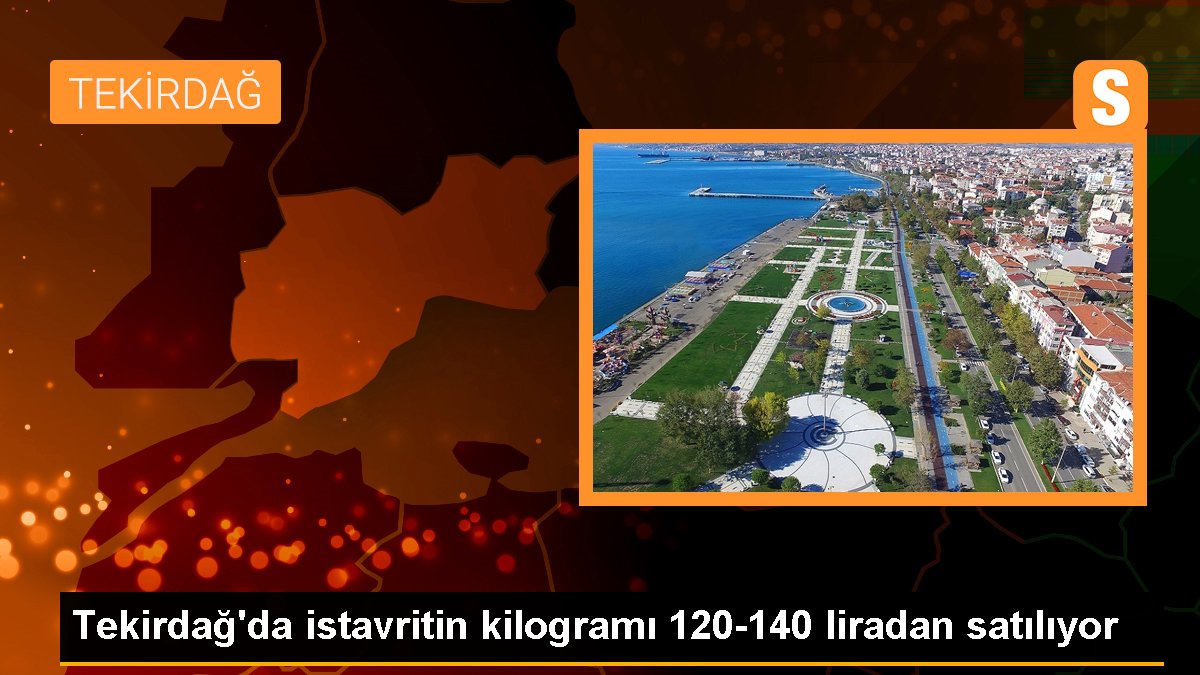 Tekirdağ'da istavritin kilogramı 120-140 liradan satılıyor