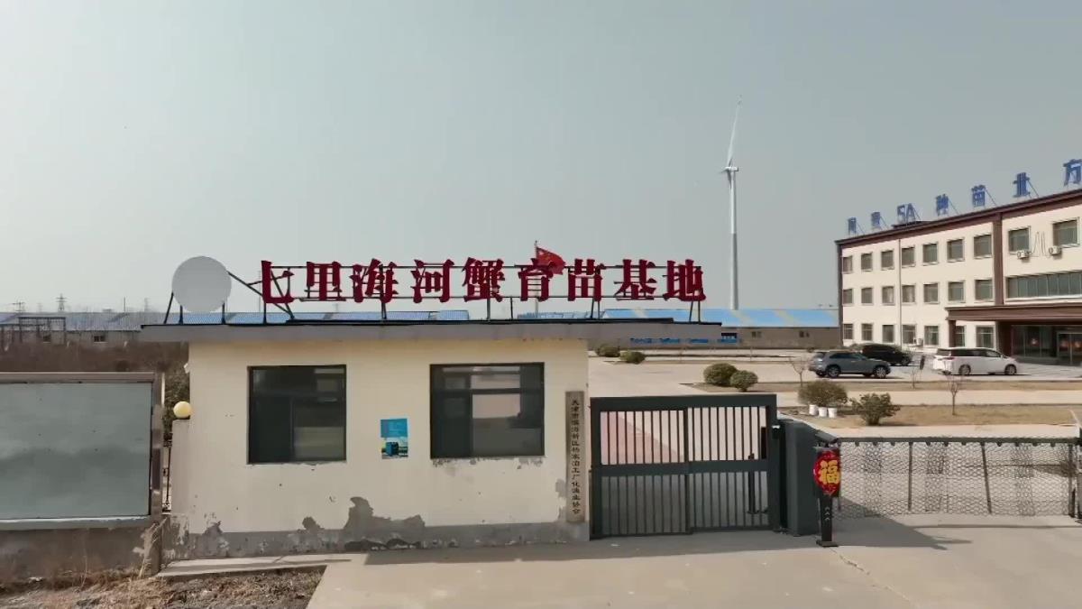 Yengeç Yetiştiriciliği Çin'in Qilihai Kasabasının Yeni Gelir Kaynağı Oldu