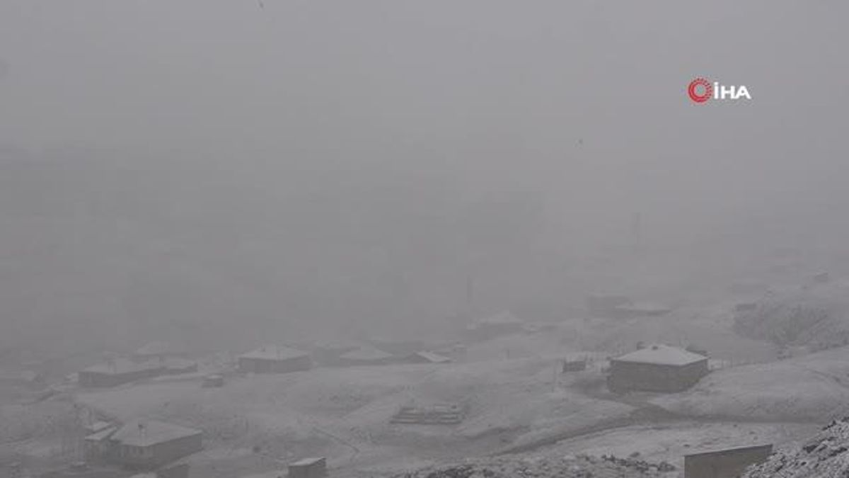Yüksekova'da kar yağışı ve ağır sis hayatı olumsuz tarafta etkiledi