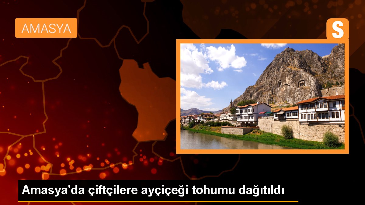 Amasya'da çiftçilere ayçiçeği tohumu dağıtıldı