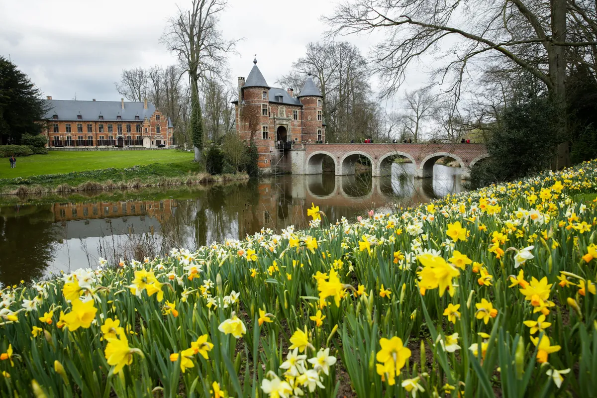 Belçika'da Floralia Brussels Çiçek Fuarı Açıldı