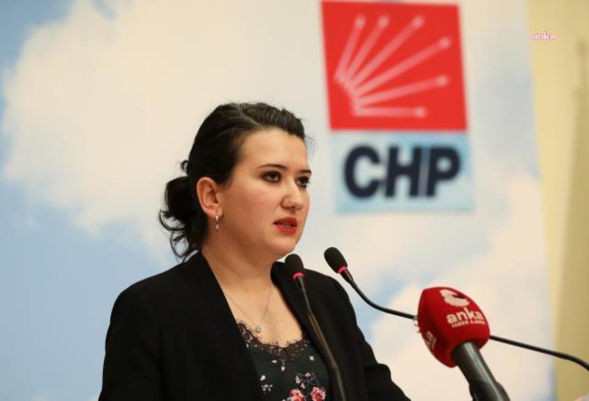 CHP'li Gökçen'den AKP'nin "Doğru Adam, Yanlışsız Zaman" Sloganına Tarkan'ın Müziğiyle Cevap: "Yanlış Vakit, Yanlış İnsan"
