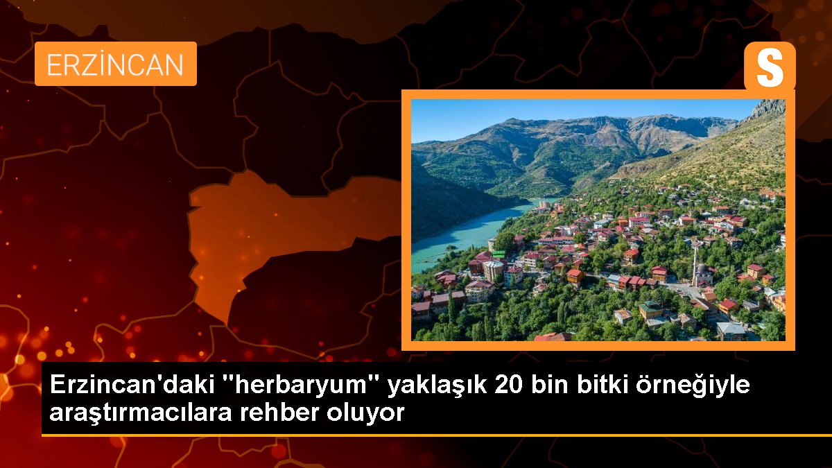 Erzincan'daki "herbaryum" yaklaşık 20 bin bitki örneğiyle araştırmacılara rehber oluyor