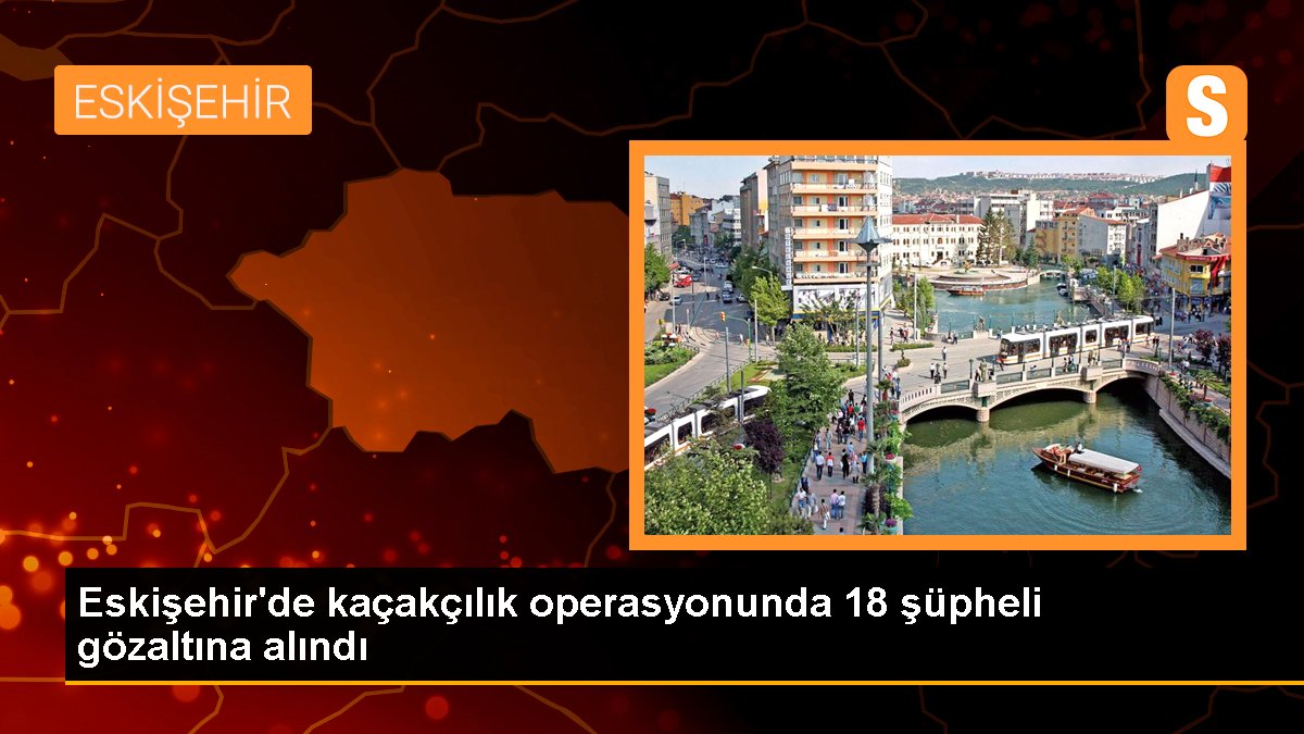 Eskişehir'de kaçakçılık operasyonunda 18 kuşkulu gözaltına alındı