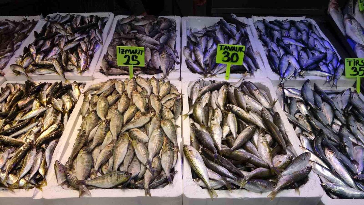 Trabzon Balıkhali'nin en ucuz balıkları İzmirli İzmarit ve Kupes