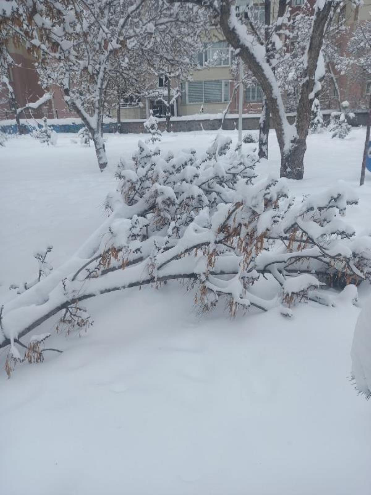 Van'da 83 yerleşim yerinin yolu, kardan kapandı (2)