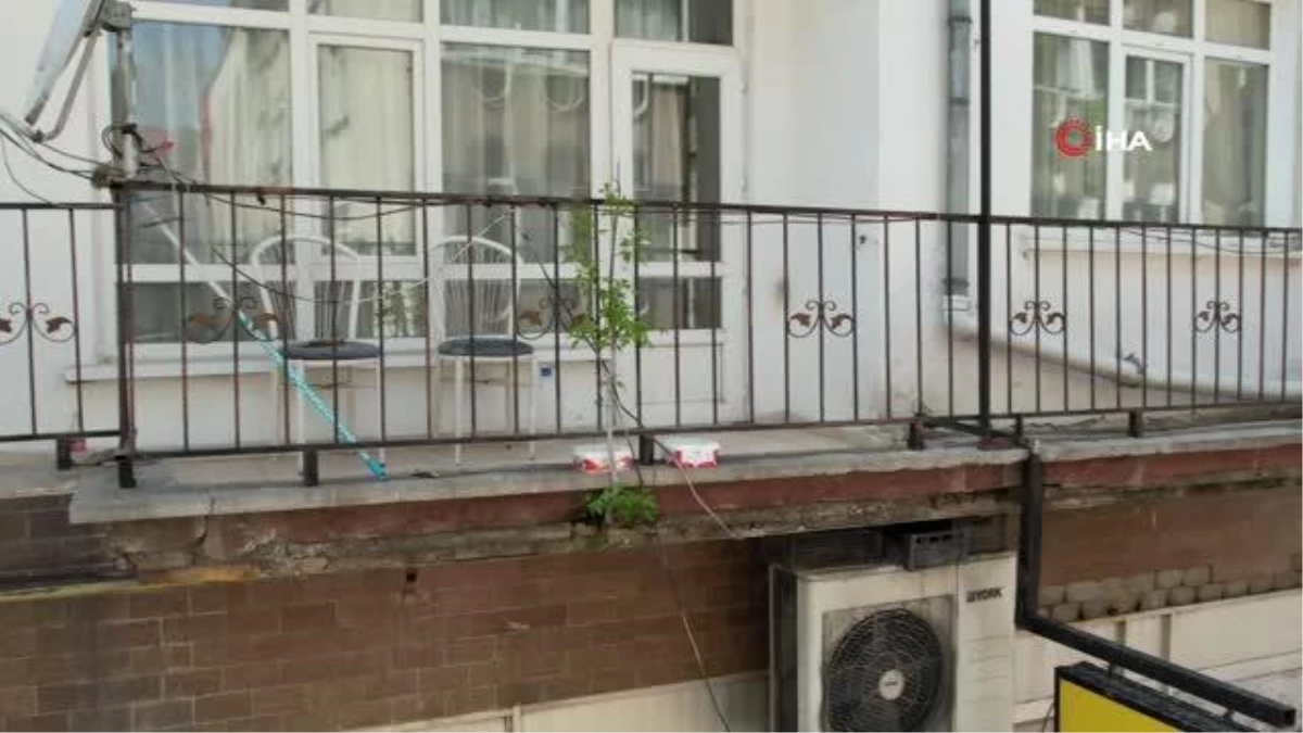 Balkon betonundan çıkan ağaç görenleri hayrete düşürüyor