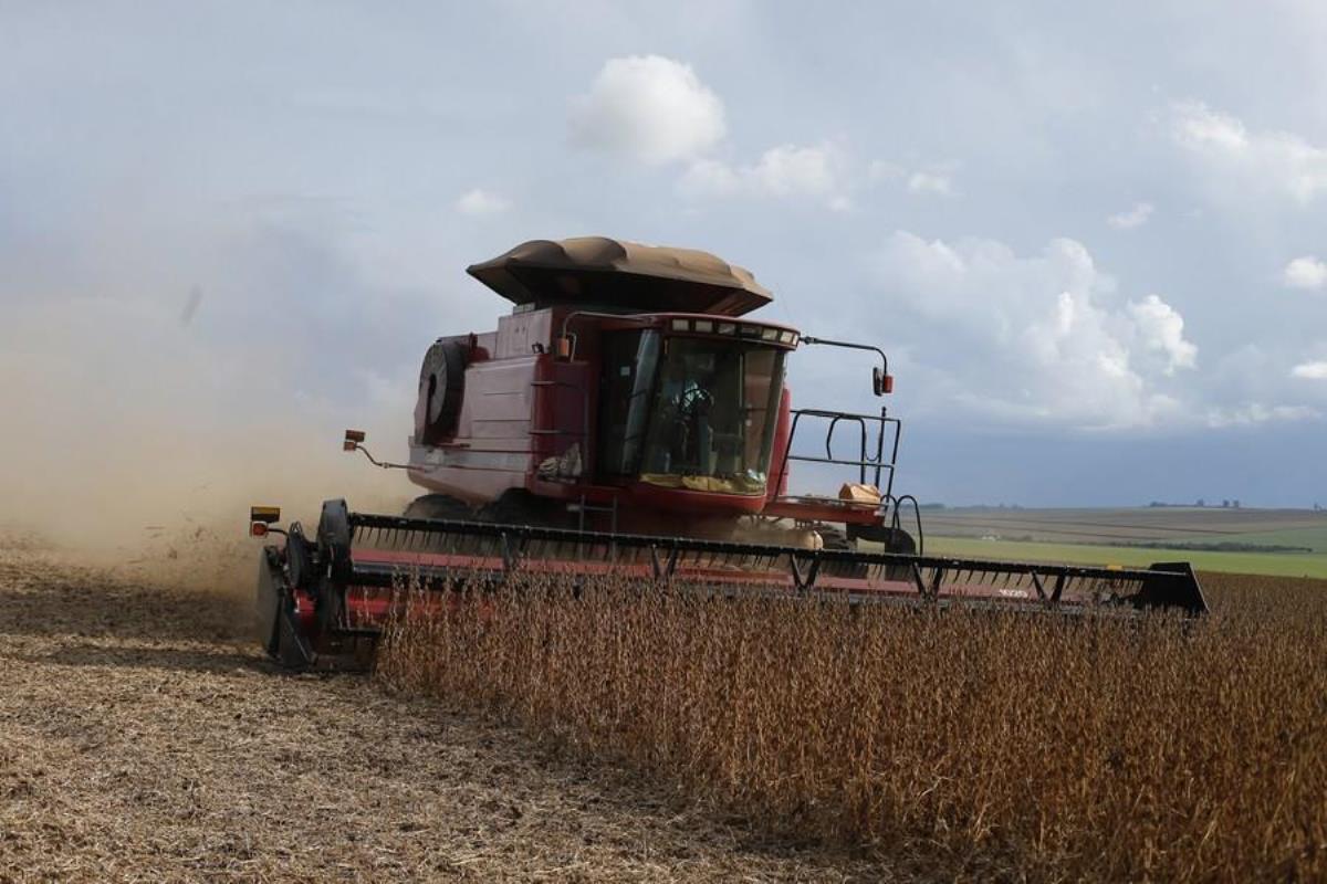 Brezilya 2023 İçin Rekor Seviyede Tahıl Hasadı Bekliyor