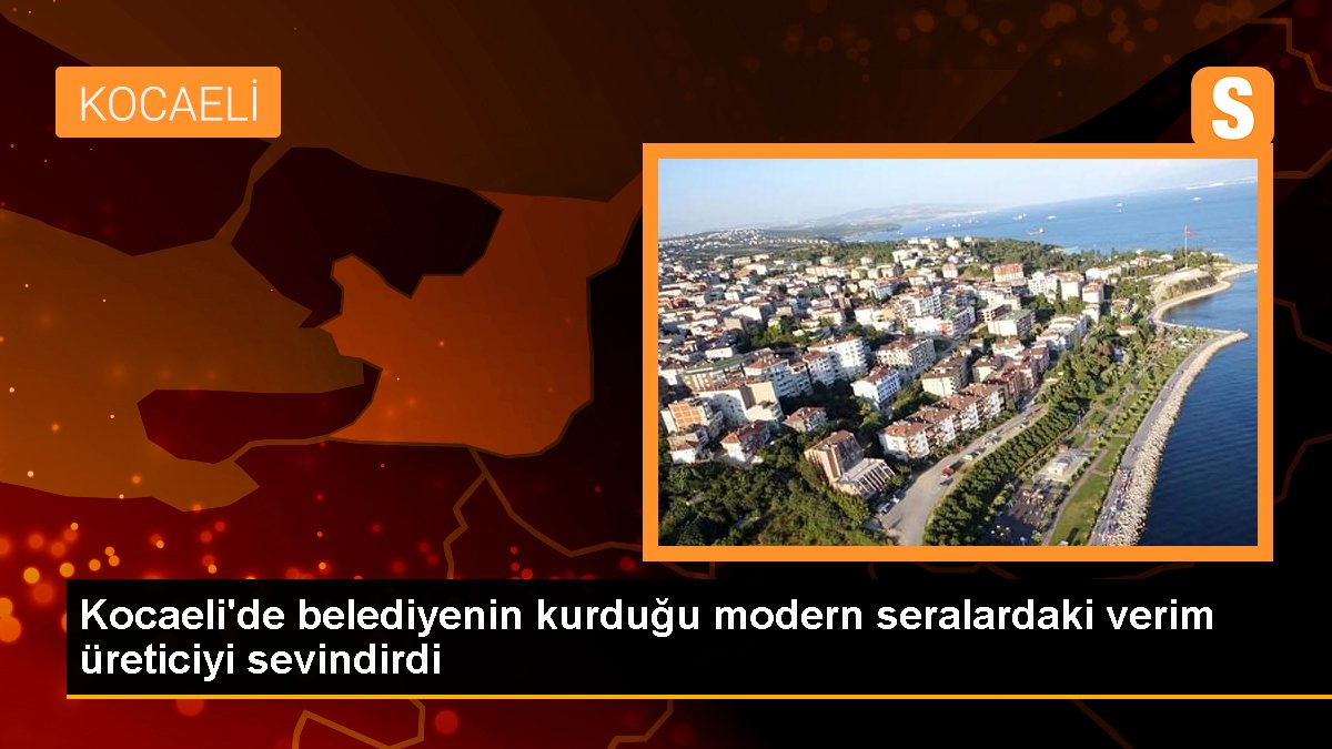 Kocaeli'de belediyenin kurduğu çağdaş seralardaki randıman üreticiyi sevindirdi