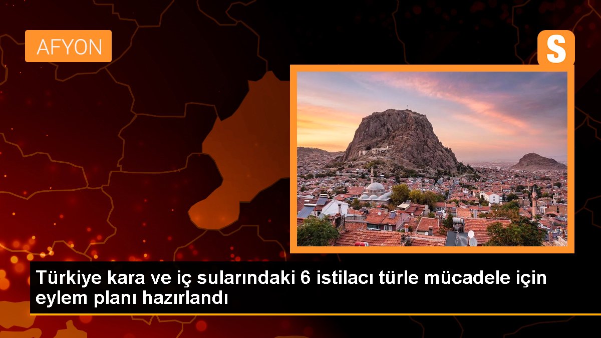 Türkiye kara ve iç sularındaki 6 istilacı çeşitle uğraş için aksiyon planı hazırlandı