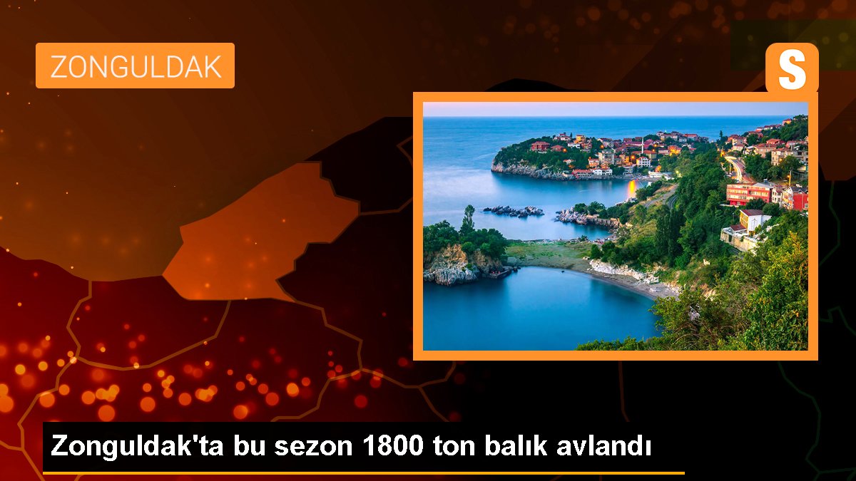 Zonguldak'ta bu dönem 1800 ton balık avlandı
