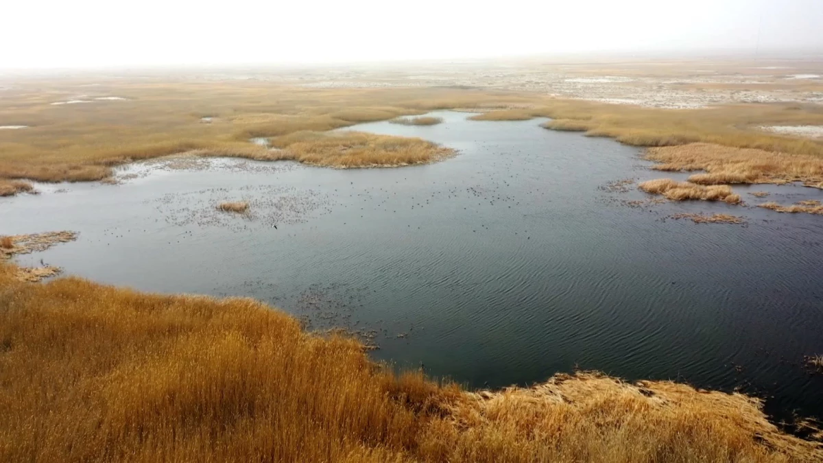 Çin'de Kurumuş Göl, Su Yönlendirme Projesiyle Tekrar Hayat Buldu