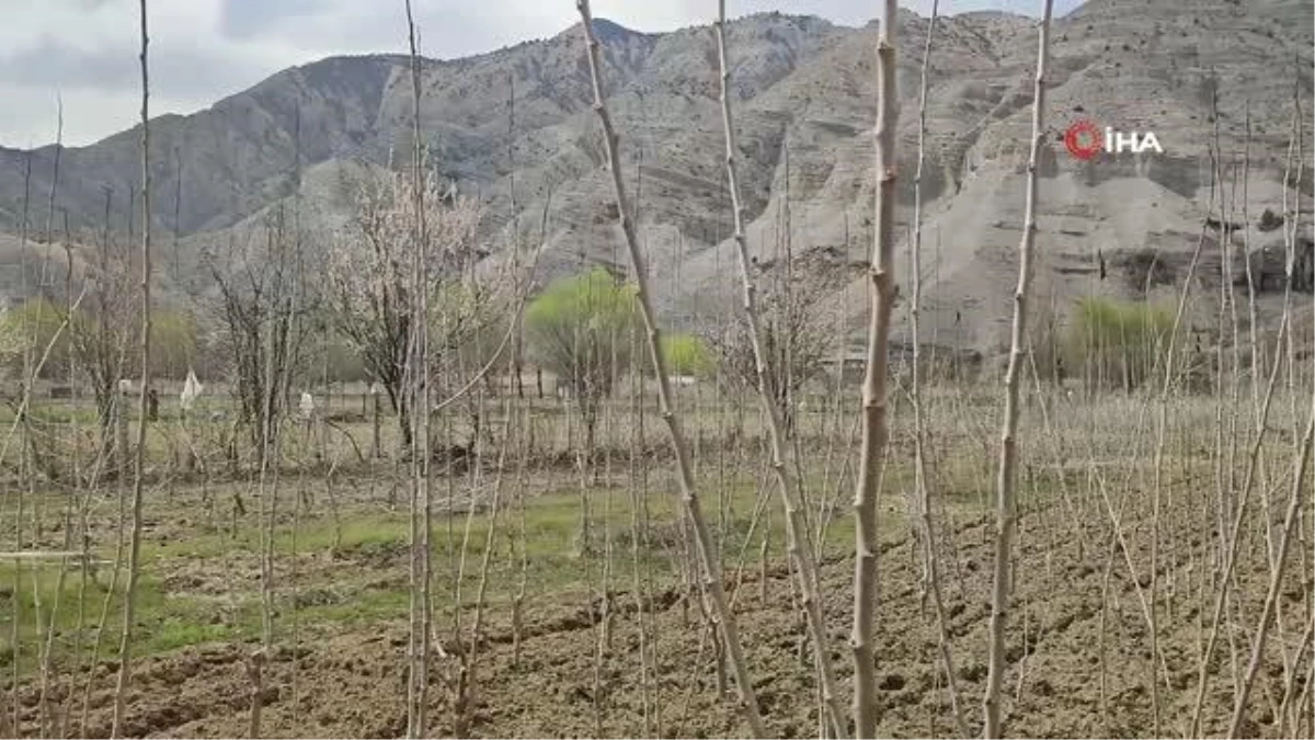 Erzurumlu hobi bahçıvanı binlerce fidan yetiştiriyor