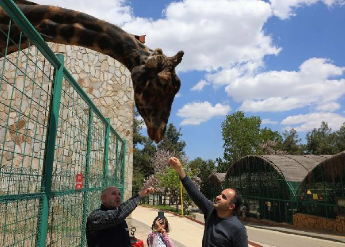 Gaziantep Hayvanat Bahçesi Bahar Hazırlıklarına Başladı