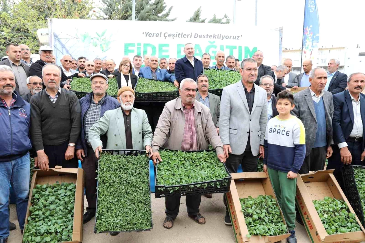 Gaziantep'te çiftçilere 2 milyon adet fide dayanağı