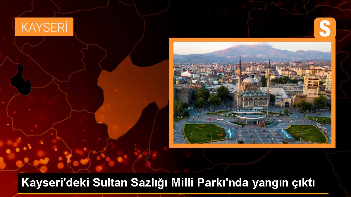 Kayseri'deki Sultan Sazlığı Ulusal Parkı'nda yangın çıktı