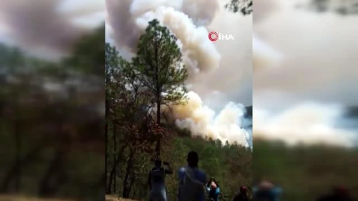 Meksika'daki orman yangınında 400 hektarlık alan kül oldu