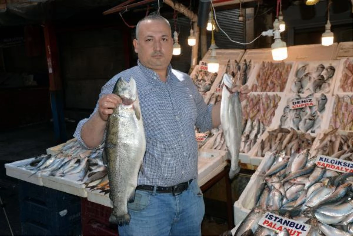 Mersin'de av yasağına karşın balık fiyatları artmadı