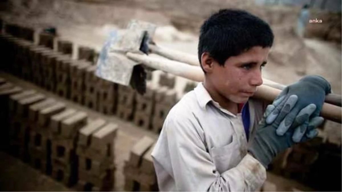 Veli Ağbaba: Türkiye'de milyonlarca çocuk ucuz iş gücü olarak kullanılıyor