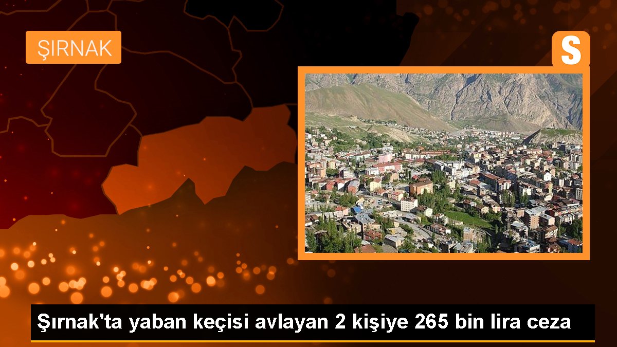 Şırnak'ta Yaban Keçisi Avlayanlara 265 Bin Lira Ceza