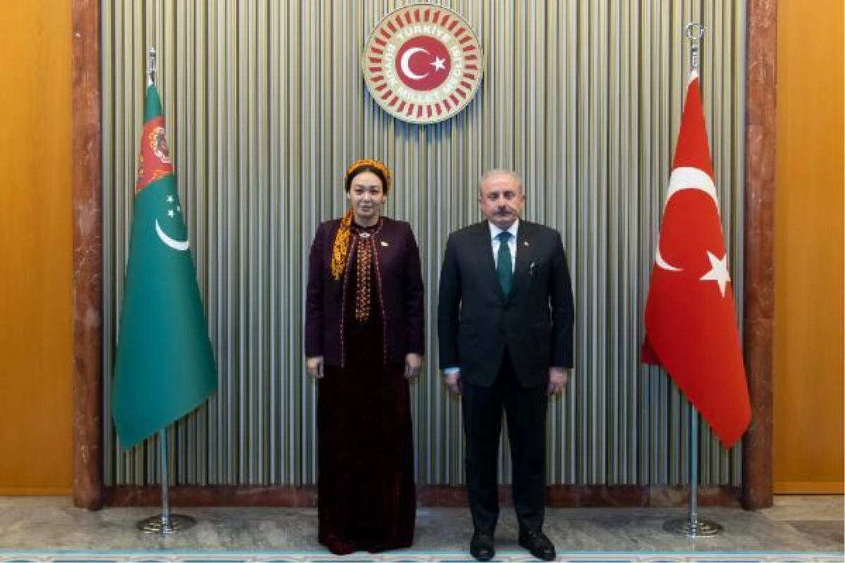 TBMM Lideri Şentop, Azerbaycan Ulusal Meclisi Lideri Gafarova ile görüştü (2)