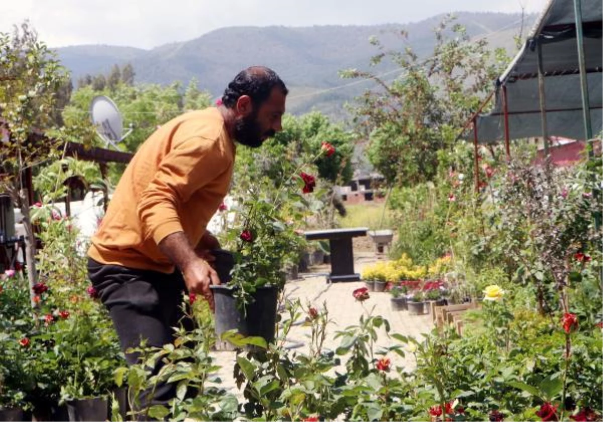Hatay'da Depremzedelerin Kabirlerine Dikmek İçin Çiçek Satın Alınıyor