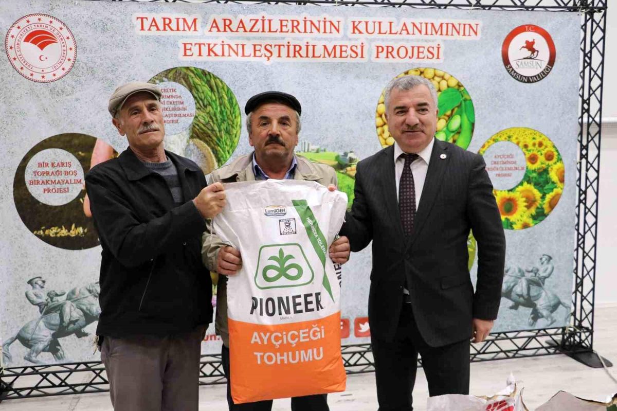 Samsun Havza'da Yağlık Ayçiçeği Tohumu Dağıtımı Gerçekleştirildi