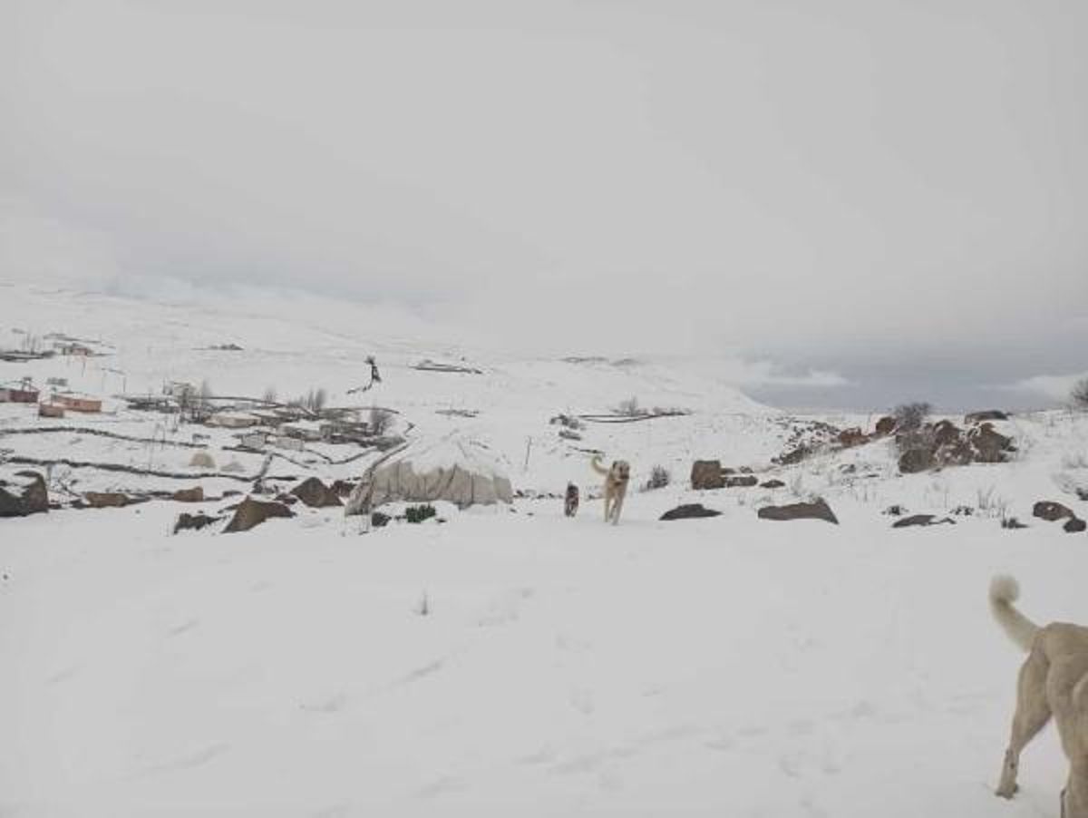 Bingöl ve Batman'da Kar, Diyarbakır'da Dolu Yağışı Tesirli Oldu