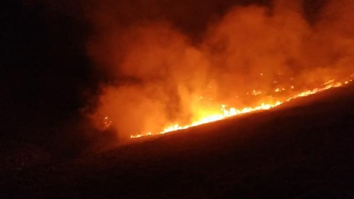 Bodrum'da Arazi ve Makilikte Yangın Çıktı