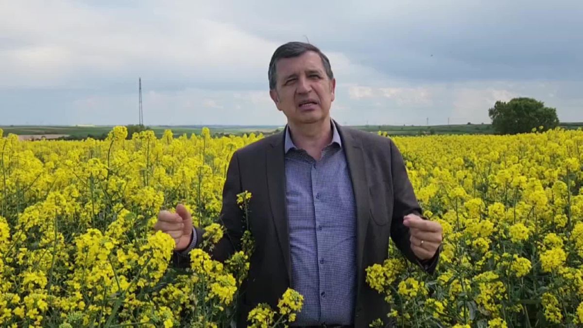 CHP Milletvekili Gaytancıoğlu: Çiftçiler ilaçlama saatlerine dikkat etmeli