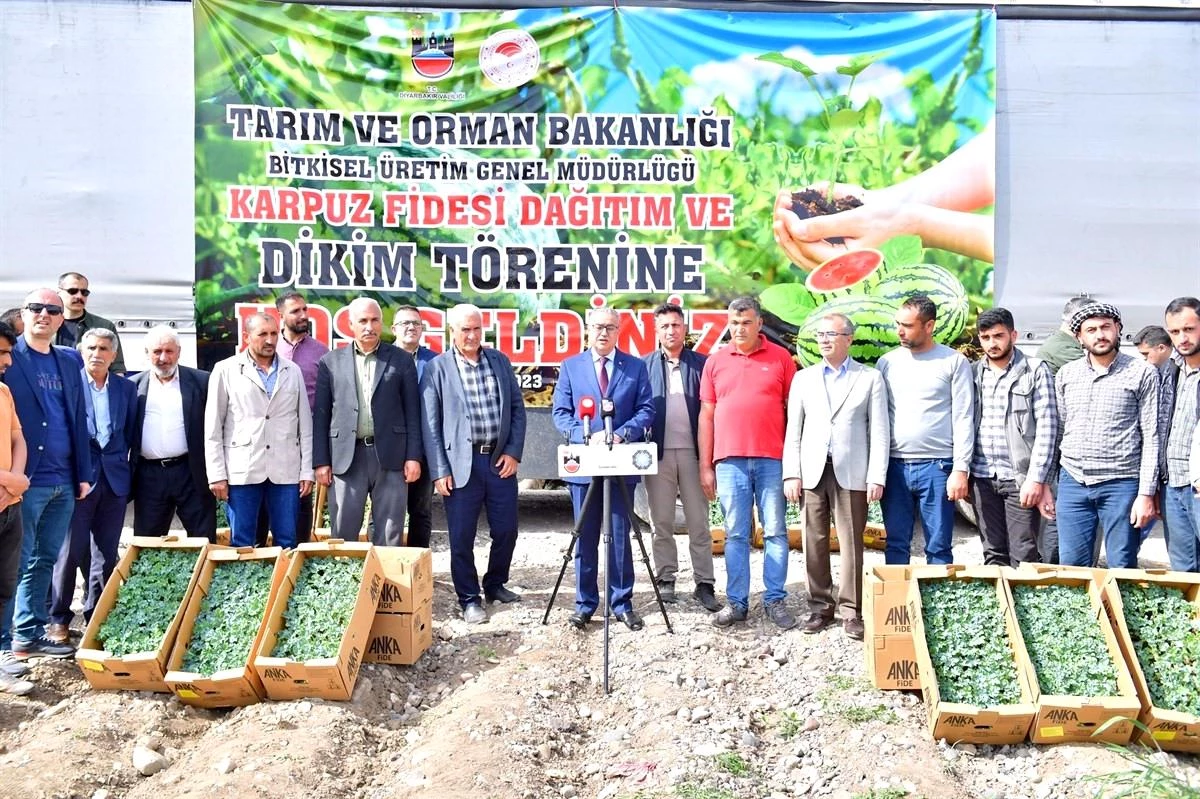 Diyarbakır'da Çiftçilere 115 Bin Karpuz Fidesi Dağıtıldı