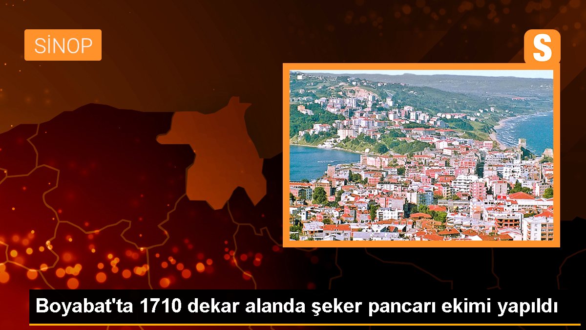Sinop'ta Şeker Pancarı Ekimi Yapıldı