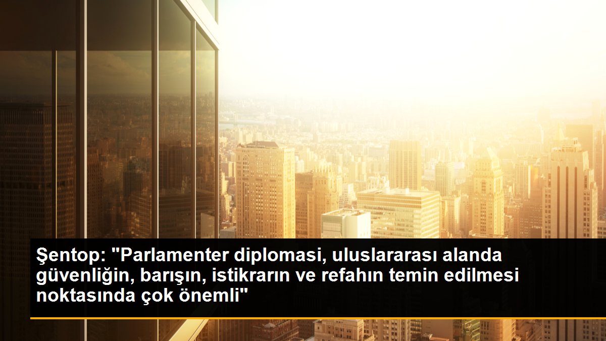 TBMM Lideri Şentop: Parlamenter diplomasi demokratik ülkeler için kıymetli