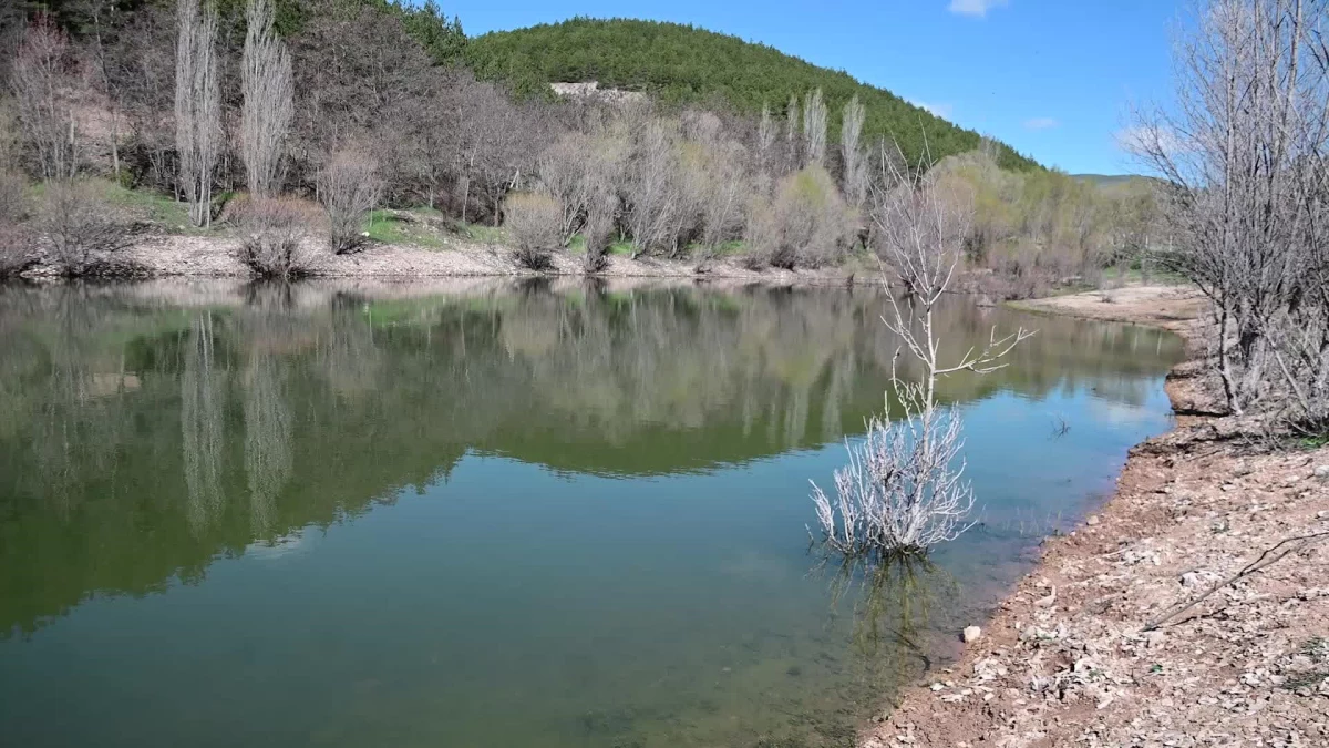Yozgat'taki Baraj ve Göletlerde Yağışlarla Su Düzeyi Yükseldi