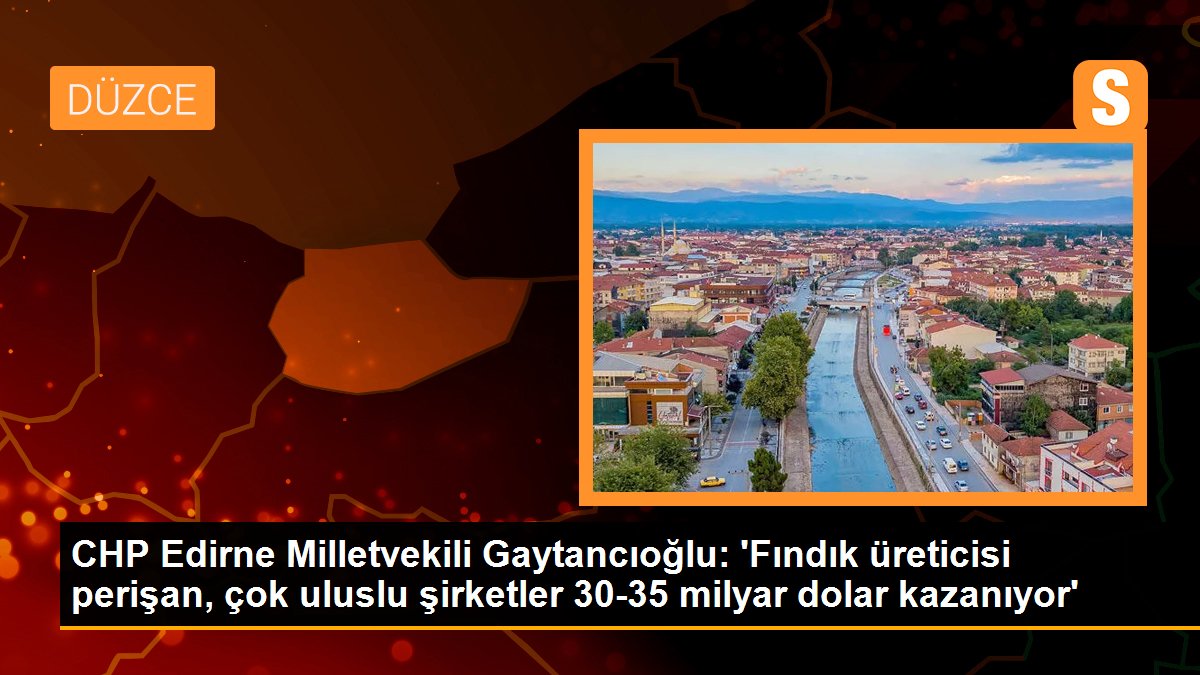 CHP Edirne Milletvekili Gaytancıoğlu: 'Fındık üreticisi perişan, çok uluslu şirketler 30-35 milyar dolar kazanıyor'