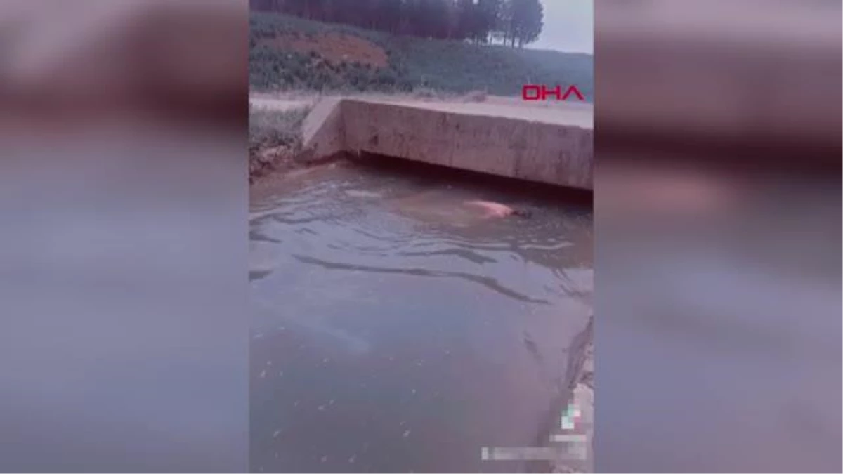 Mardin'de TikTok görüntüsü çekerken su kanalına düşen Suriyeli genç hayatını kaybetti