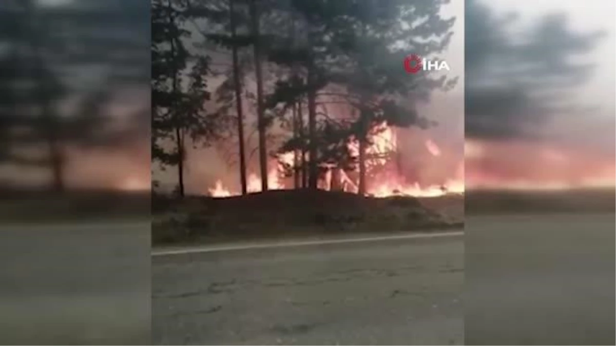 Rusyada çıkan orman yangını barut deposuna sıçradı